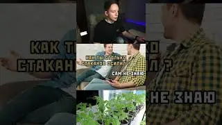 Растения в Blender 3D (Plants VS Zombies) 