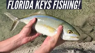 Florida Keys - Bridge Fishing - Live Bait - Sugarloaf Key - Yellow Jack