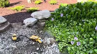 A large backyard for kids with a Recreation Pond that has unique landscaping and a flagstone patio