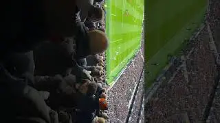 Tottenham fans cheering after goal. #tottenhamhotspur #subscribe #viral #glory #trending