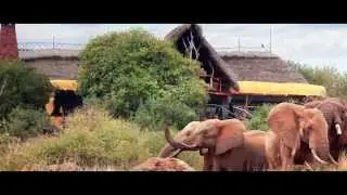 Satao Elerai Camp, the Beauty of Kenya