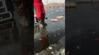 Вот так нужно ловить.