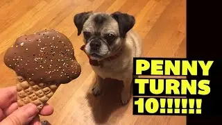 Penny turns 10!