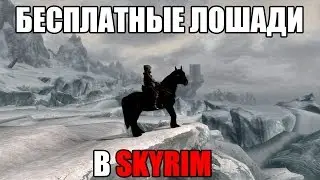 БЕСПЛАТНЫЕ ЛОШАДИ В SKYRIM