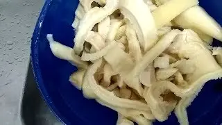 Como limpar Bucho Dobradinha