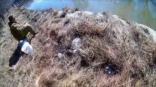 Весенний пескарь на поплавок.