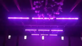 glotubes ceiling