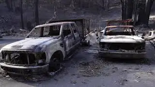 Video of Big Basin Redwoods State Park, CA from Garrick W.