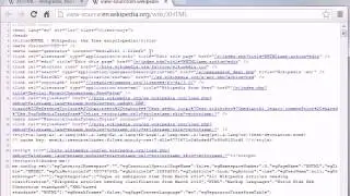 Web Development from Scratch!
