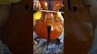 Sound sample 1 Violoncello Stelio Rossi, Siena 1983