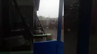 ливень
