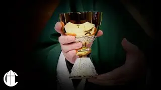 Catholic Mass Today: 10/25/24 | Friday of the Twenty-Ninth Week in Ordinary Time