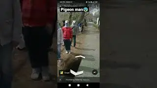 Google Earth pigeon man location /#googleearth #shorts #godzilla #pigeonman #pigeon