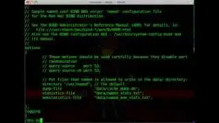 Instalando o Servidor BIND no Linux Fedora CentOS