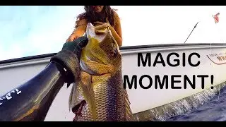 DEEP SPEARFISHING A DENTEX IN A MAGIC MOMENT