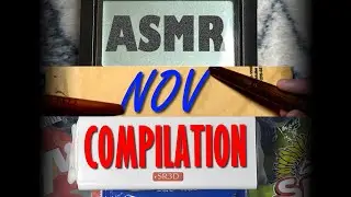 ASMR NOVEMBER 2023 COMPILATION (With Timestamps)
