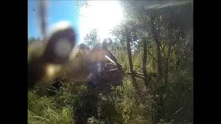 Пчеловод  начало
