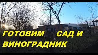 58. КУПИЛИ УСАДЬБУ, ВОССТАНАВЛИВАЕМ! Подготовка виноградника, опрыскиватель.