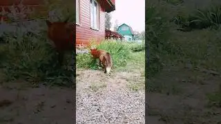 я ухожу 