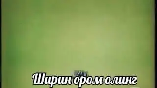 Без коментариев кто помнит ставдей лак 👍👍👍😊😁