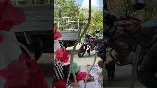 Cara membuat bunga organza