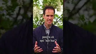 Ce este HARUL IEFTIN? - Mihai Goran
