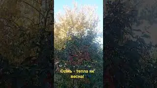 24 жовтня -осінь 2023