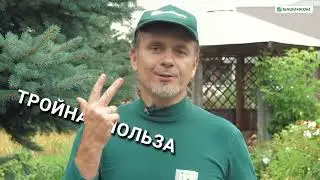 Богатый Микро Комплексный: здоровый огород - здоровая семья