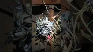 Funny Electrical Fail with "My Nephew Thomas" audio #electrician #electrical #humor #fail #funnyele