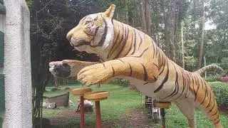 Berlibur di Taman Safari Bogor #tamansafari #pesonaindonesia #altafwirakusuma #wisataindonesia