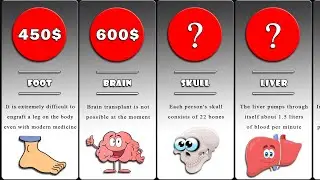 Comparison: Prices of Human Organs