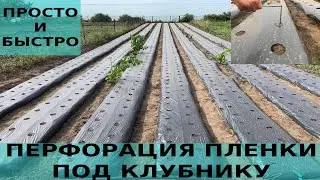 Перфорация пленки под клубнику