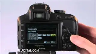 Introduction to the Nikon D3300: Basic Controls