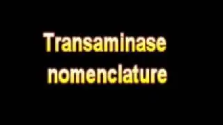 What Is The Definition Of Transaminase nomenclature