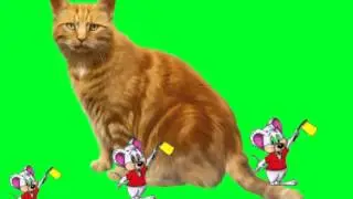 ФУТАЖ- НА ХРОМАКЕЕ - КОТ И МЫШИ