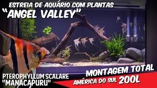 Montagem Aqua 200L 