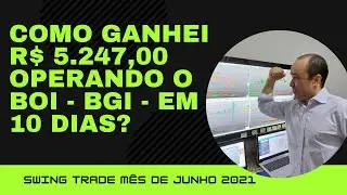 Como Ganhei R$ 5.247,00 Operando o BOI - BGI - em 10 dias?