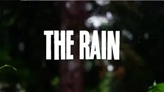 Leaf Dog - The Rain
