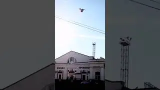 05 сентября 2024_Московская обл_Тучково  #тучково #дача