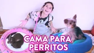 HAZ UNA CAMA PARA PERRITOS I Cama para perro con una llanta - Lupe la constructora I Ixpanea
