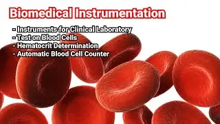 EE372 | Module VI | Class 1 | Clinical Laboratory | Test on Blood Cells | KTU | EEE | S6
