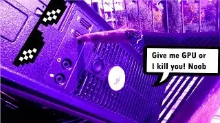 Dell optiplex 755 - GT1030 & E2200 - From potato to Computing Battleship