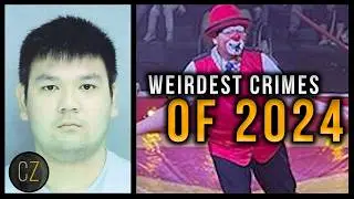 Weirdest Crimes Of 2024