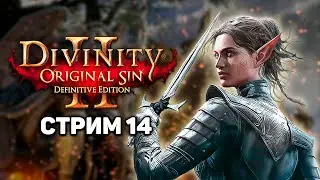 Divinity: Original Sin 2 - тут учились делать Baldur's Gate 3 | Стрим 14
