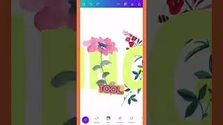 #canva