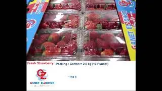Fresh and frozen Egyptian strawberries