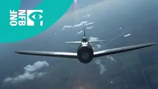 The Defender