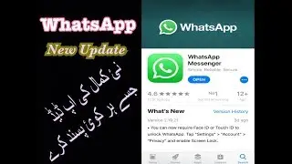 Whatsapp New Update 2019