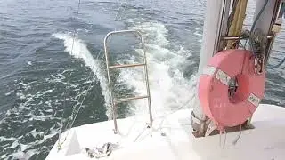 ヤンマーＥＸ２９Ｚ滑走動画（２０２４０４２０）