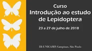 Curso de Introdução ao estudo de Lepidoptera - UNICAMP